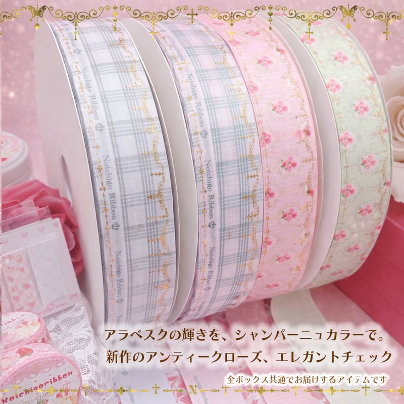 Special Box2025 | のいちごリボン