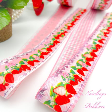 PP-2 ピンクプリンセスいちご 　2mセット