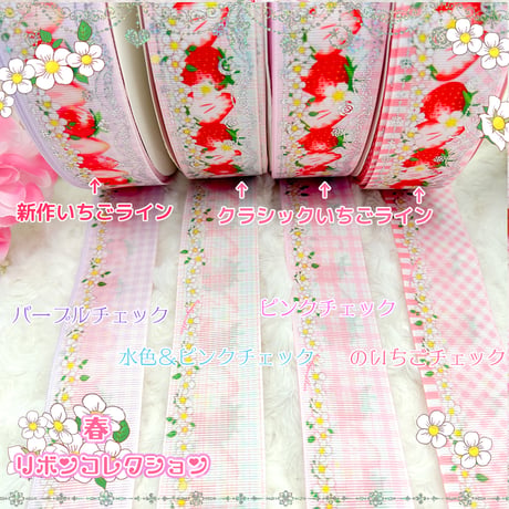SC-4 スプリングチェックベリー 各4mセット