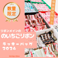 のいちごリボンラッキーパック2024