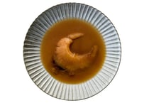 ふかひれステーキ 2枚入【220g×2p】 | フカヒレ専門店 信和キンシ