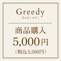 商品購入  5,000円