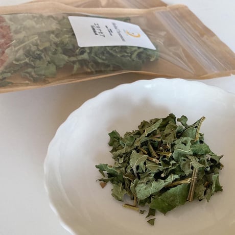 【Herbal Treatment】エキナセア