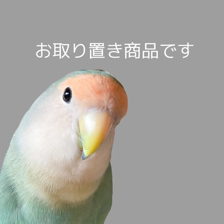 ITEM | GRIMOON ぐりむーん 鳥さんのハンモックのお店