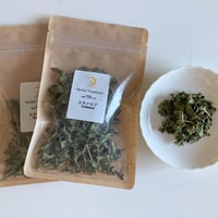 【Herbal Treatment】エキナセア