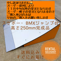 すぐにお届け 送料込 スケボーランプ 組立キット 高さ400mm