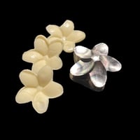 chocolate flower “cute”