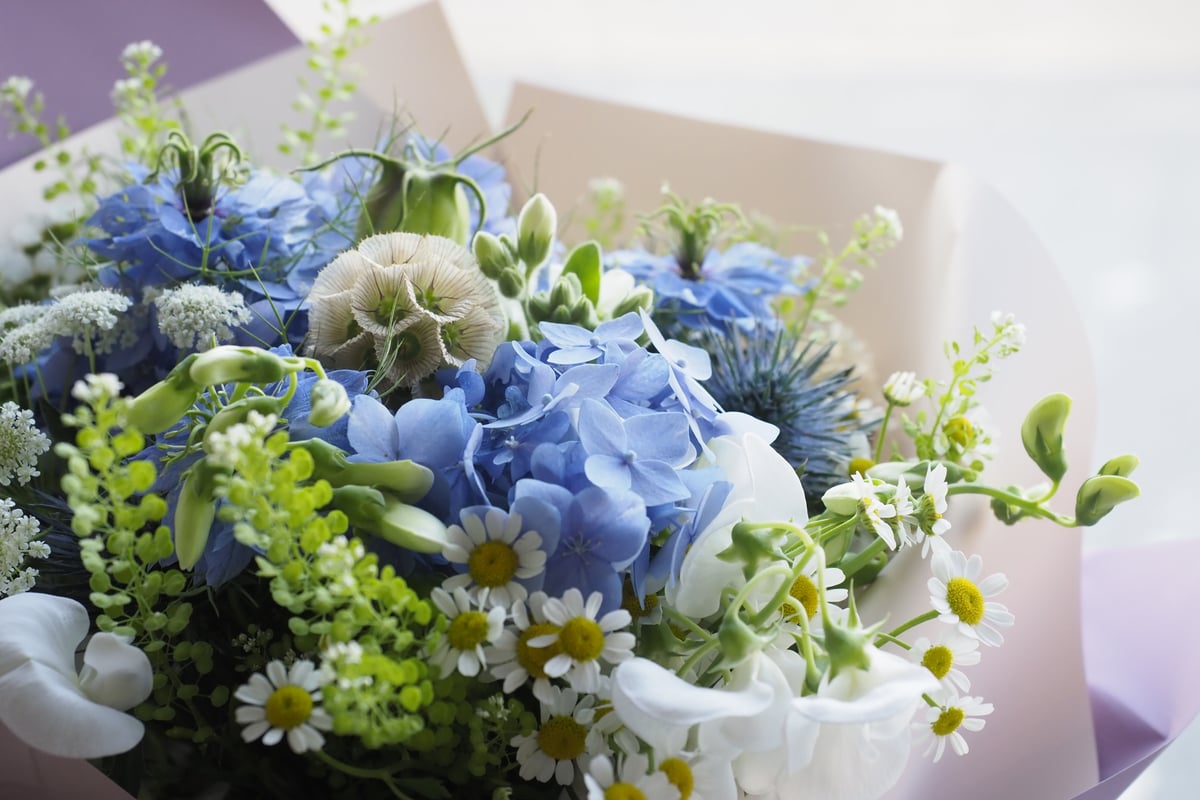 配送用/ マジカルブーケ】清楚なイメージ（青系） | HANANO MURASE