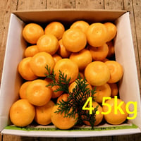 【送料無料】温室温州みかん 約4.5kg  (S・Mサイズ 約50～60個)　OM-100