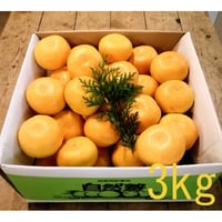 【送料無料】温室温州みかん 約3kg  (S・Mサイズ 約30～45個)　OM-90