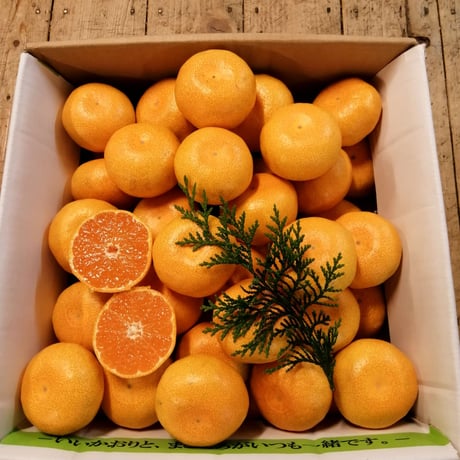 【送料無料】温室温州みかん 約3kg  (S・Mサイズ 約30～45個)　OM-90
