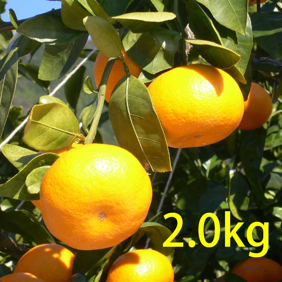 63a24dccc3289c1d1b653ad8