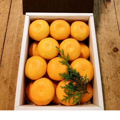 自然塾おれんじペコ