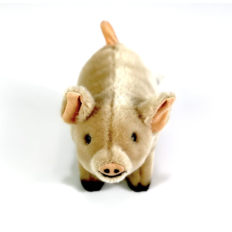 KOSEN/ケーセン こぶた | Toy-Toy ONLINESHOP