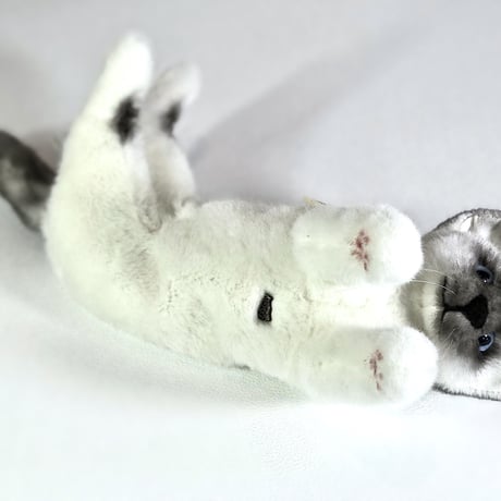 KOSEN/ケーセン　ねそべり猫（小）　ヒマラヤン
