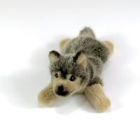 KOSEN/ケーセン　オオカミの子 伏せ