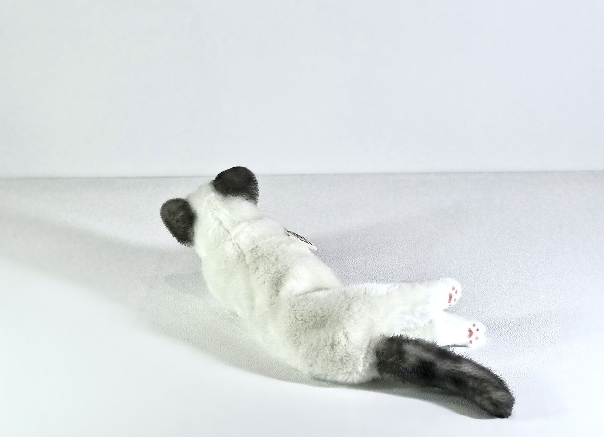 KOSEN/ケーセン ねそべり猫(小) ヒマラヤン | Toy-Toy ONLINESHOP KOSEN/ケーセン ねそべり猫(小) ヒマラヤン | Toy-Toy ONLINESHOP