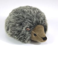 KOSEN/ケーセン　はりねずみ