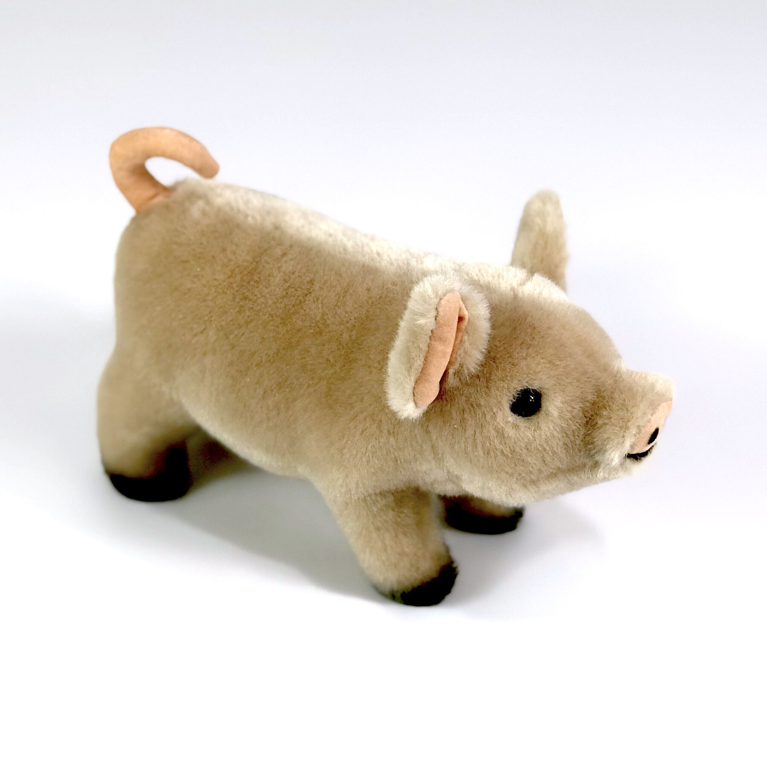 KOSEN/ケーセン こぶた | Toy-Toy ONLINESHOP