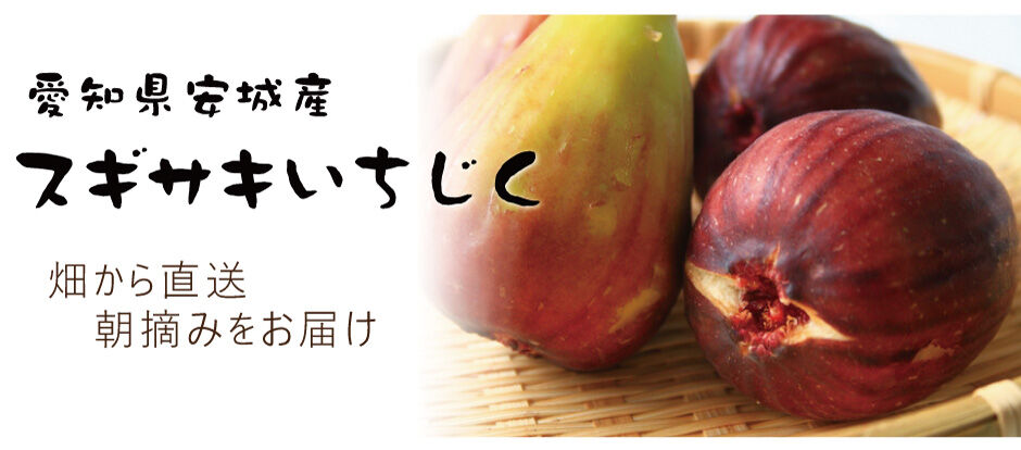 スギサキいちじく