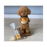 羊毛フェルト トイプードル(かご入り ツイン) | ホシイロ雑貨店