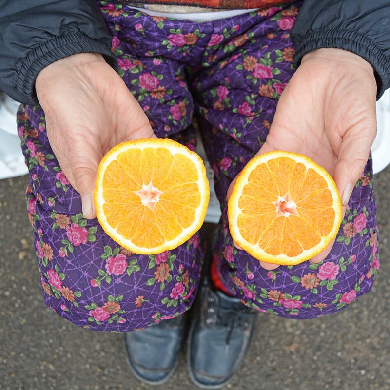 訳あり】デコポン5kg(不知火ミカン)※多少傷ありです。(大小15~20個  