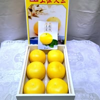 高知県産ハウス文旦3㎏化粧箱　☆2