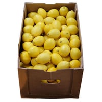 チリ産レモン約17kg165玉　☆2