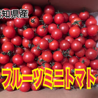 高知県産 フルーツミニトマト  1kg      　 ★9
