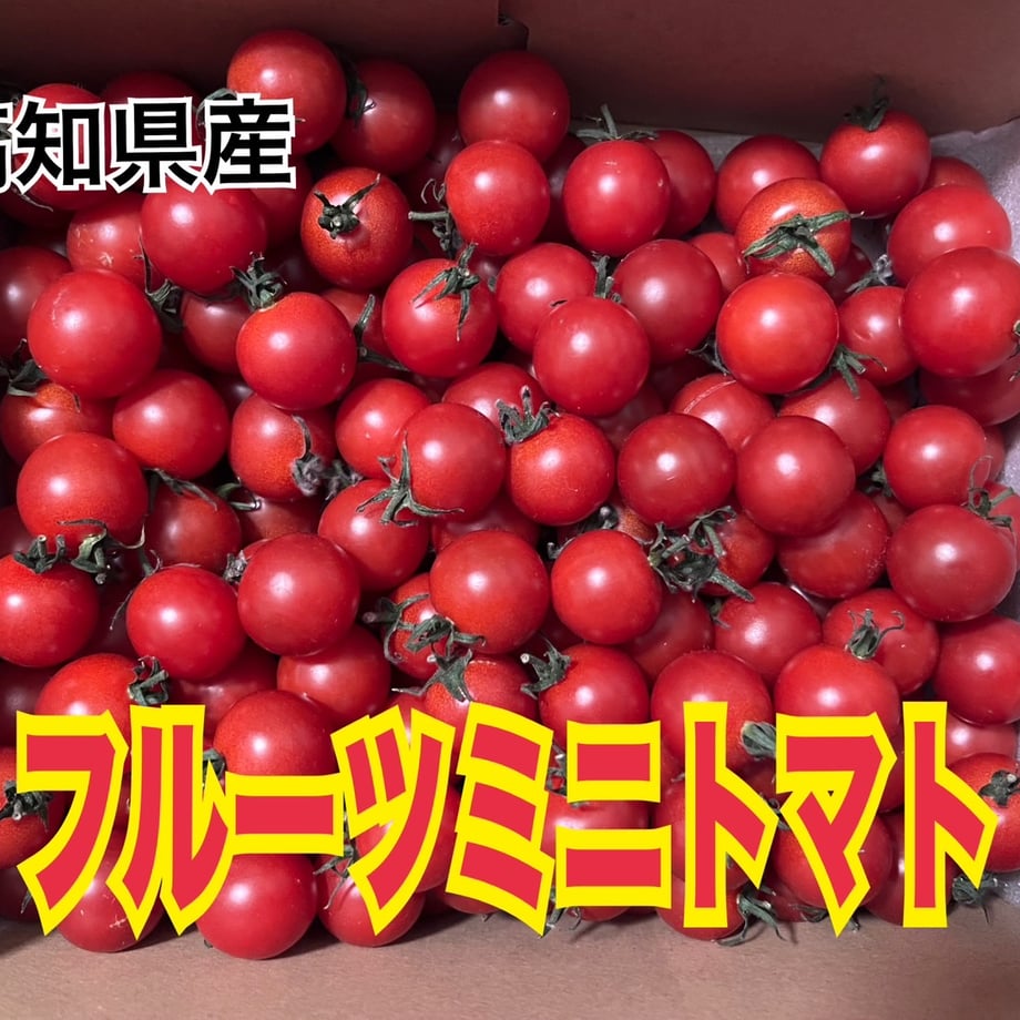 67cd080cf00a1f036c42f67b