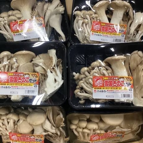 「雪国きのこセット」150g×12パック入★4