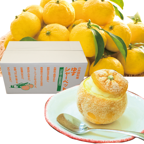 皮ごと食べれる柚子シャーベット（私たちがつくりました！ゆずマダム