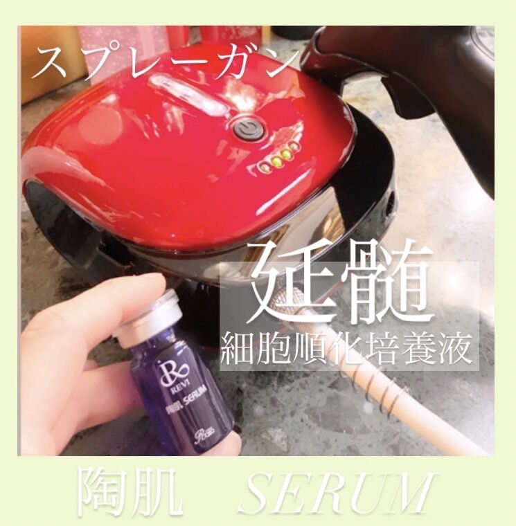 【本日限定値下げ】revi ハンディスプレーガン　美顔器