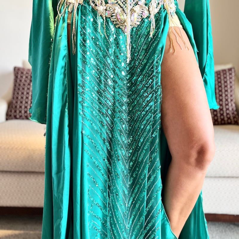 ベリーダンス衣装　ピーコック柄　孔雀 ベリーダンス衣装 ピーコック柄 孔雀 ベリーダンス衣装 ピーコック柄 孔雀