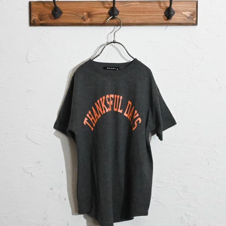 柄込みちょい ビッグTシャツ