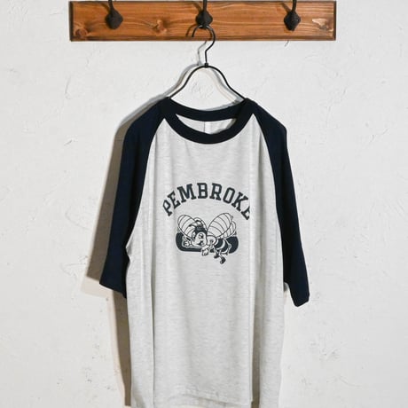 16/TC 天竺 ラグランTシャツ(PEMBROKE)