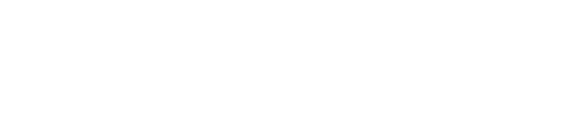 RiCO+
