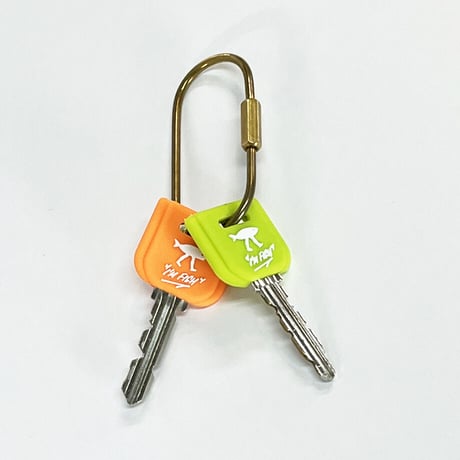 "keycover" set(orange&green)