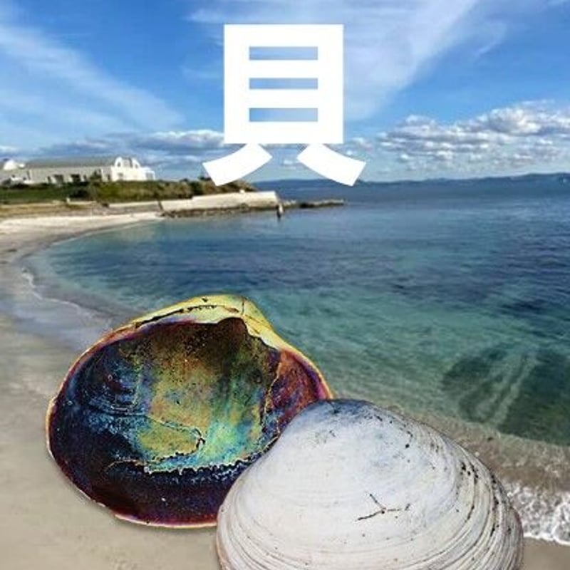 昭和レトロ　城崎　日和山海岸　海の生き物テーマの立体オブジェ　置き物　貝殻　海 昭和レトロ城崎日和山海岸海の生き物テーマの立体オブジェ置き物貝殻海