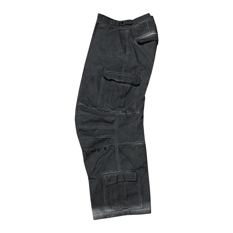 ADONIS ORBIT PROJECT】SLEET CARGO PANTS | AURUM