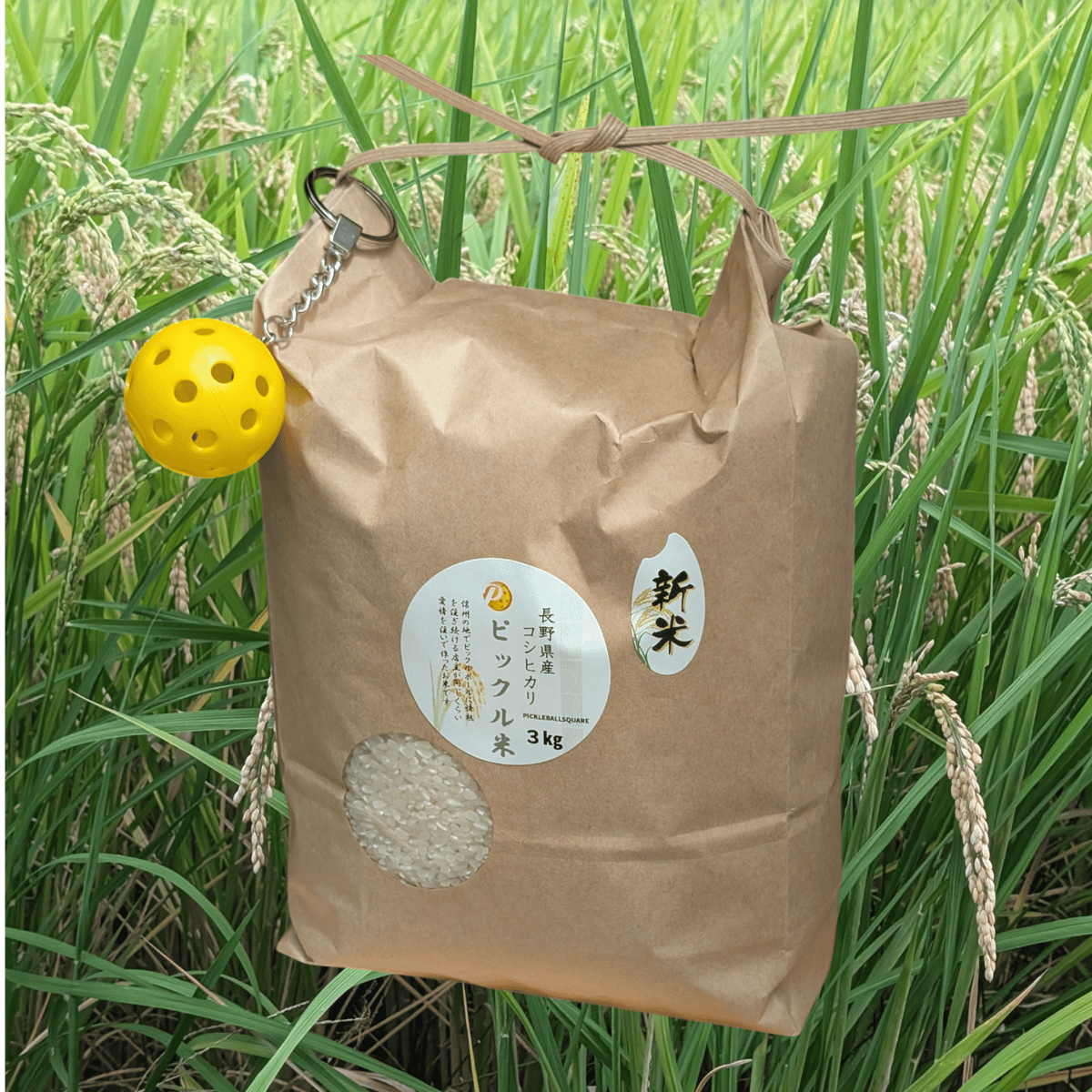 ピックル米（長野県産コシヒカリ3㎏、ミニボール付）新米 | ピックル
