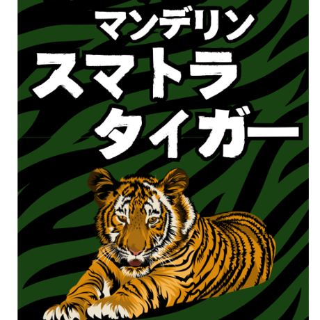 インドネシアマンデリン　スマトラタイガー300g〈ガス抜きクラフト詰〉