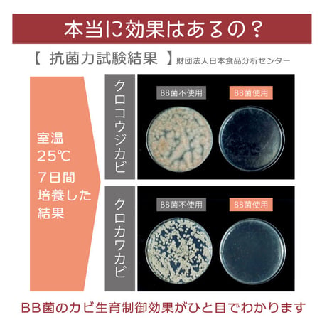 バイオの力でカビ予防　防カビスプレー　クリーパ　 TU-134　 お風呂 洗面所 カビ対策 押入れ