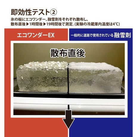 融雪剤 凍結防止剤 10kg エコワンダーEX ECO-10 塩化ナトリウム 塩化カルシウム 環境にやさしい