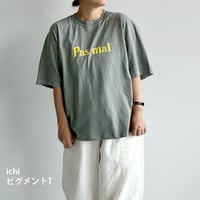 ピグメントT