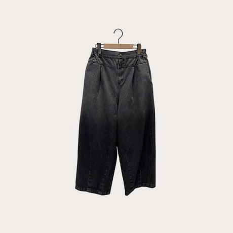 Lupilien  A238174L グラデーションデニムパンツ