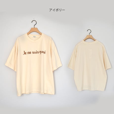 ピグメントT