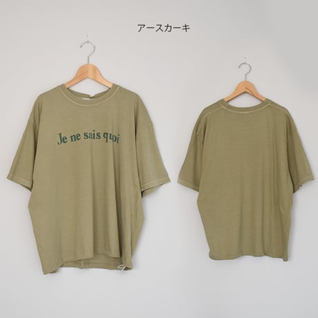 ピグメントT
