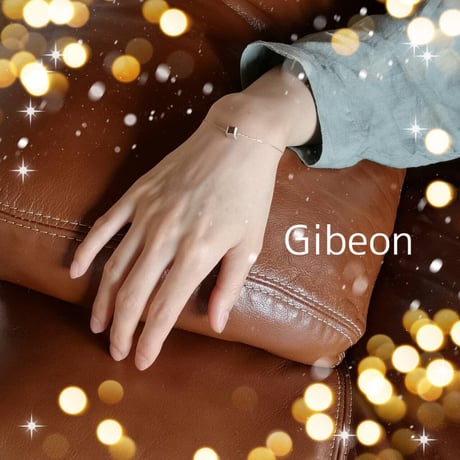 隕石ギベオンブレスレット・シルバー（ギベオン1粒）