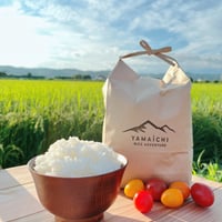 reiya　3月頃　　2.1～2.2㎜選抜 B品いのちの壱 玄米20kg 厳選「いのちの壱」の通販・お取り寄せ | 美味しいお米の通販